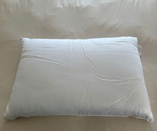 Cozy Earth Silk Pillow against Shleep sheets.