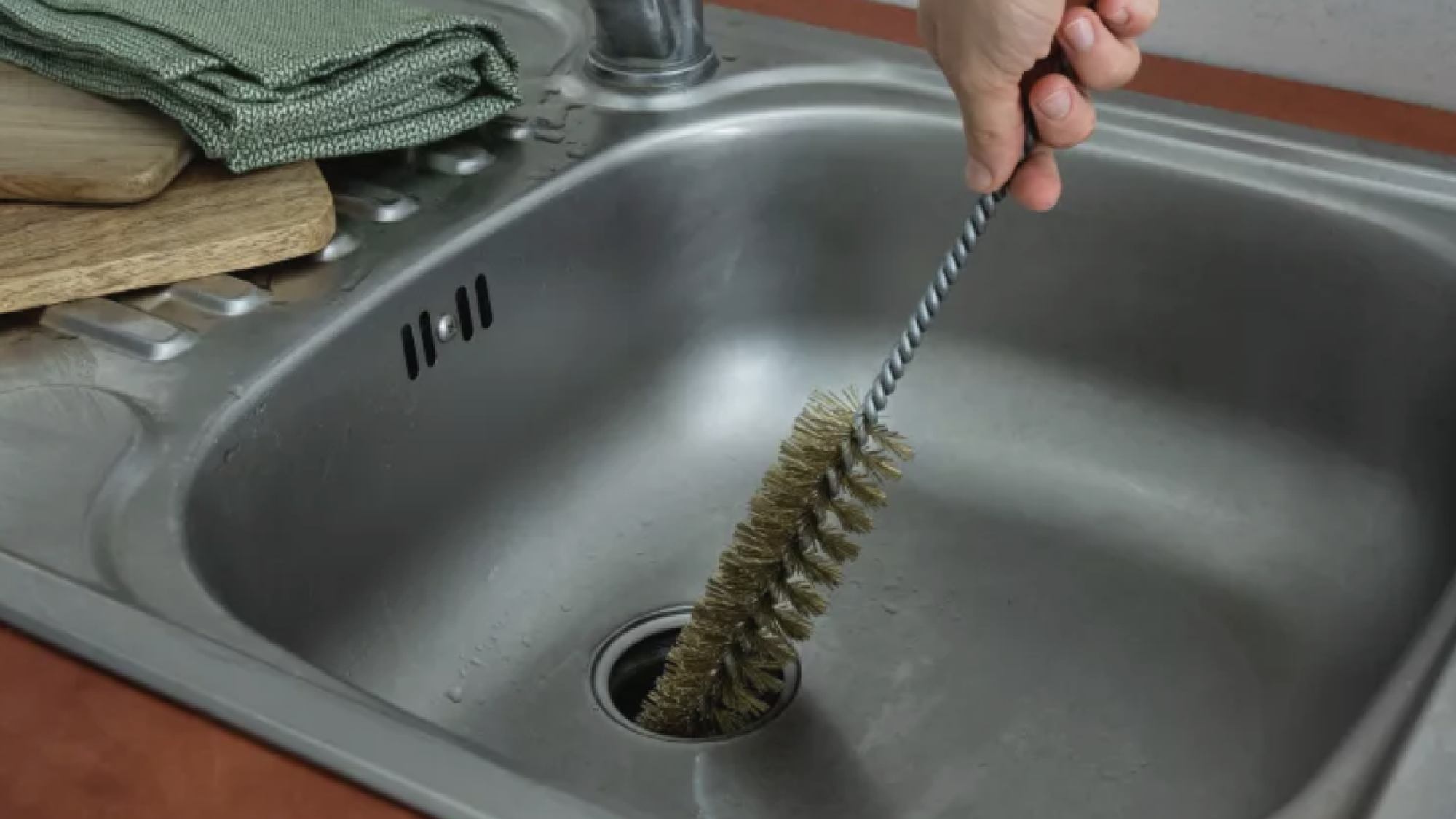 Drain flies thoroughly cleaned