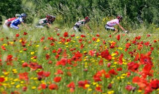 The Giro d'Italia peloton rides through a poppy field