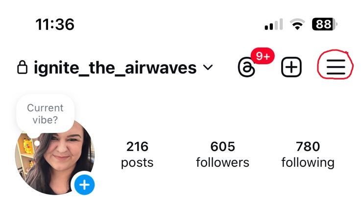 Instagram profile with three horizontal lines icon circled in red