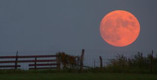 The moon often looks enormous when it first rises because of what is known as the moon illusion.