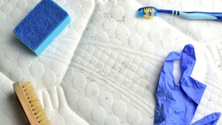 Image shows black mold on a white mattress with blue disposable gloves 