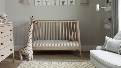 a monochromatic neutral nursery