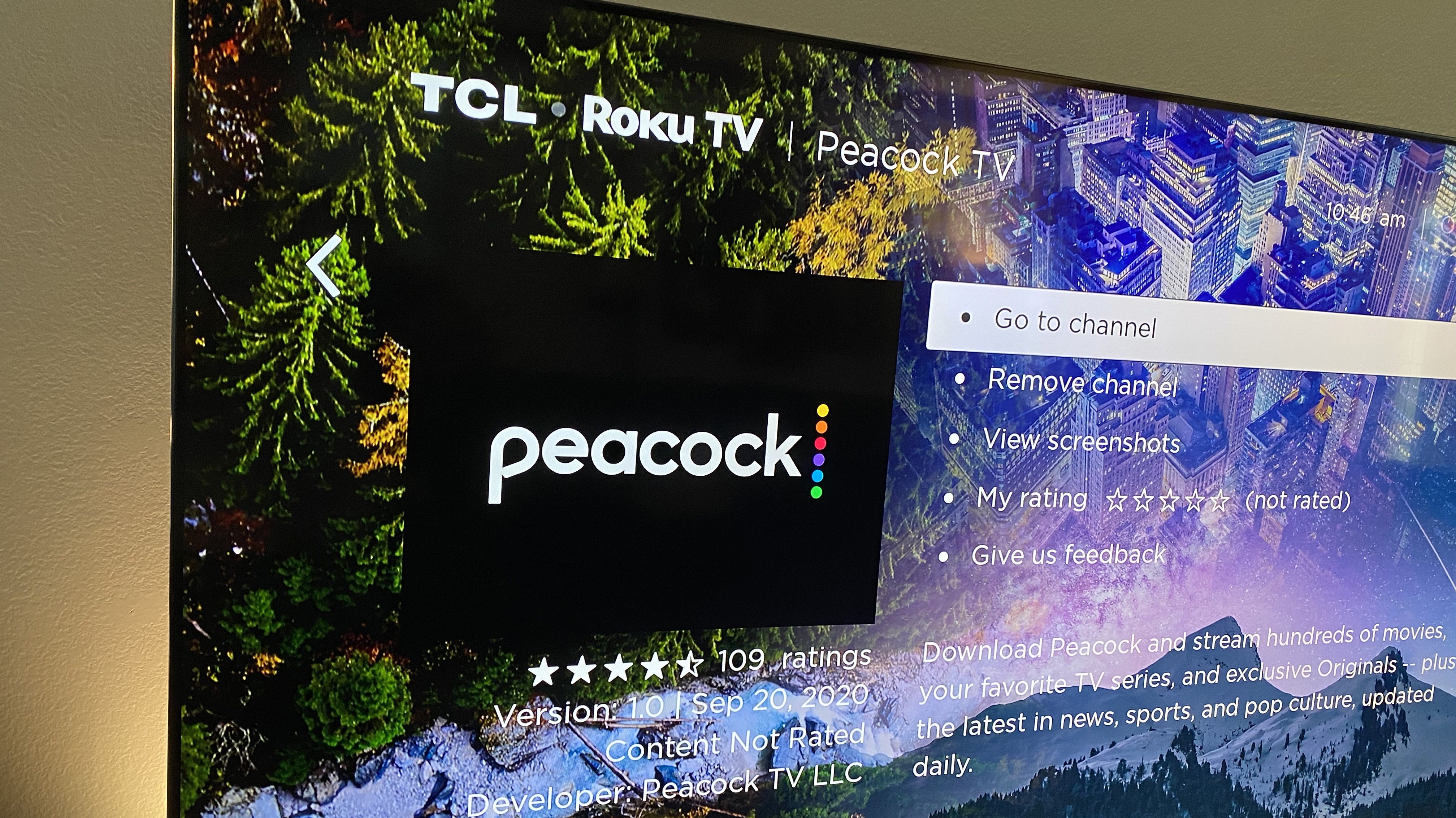 Peacock TV: How to Stream Peacock on Your TV