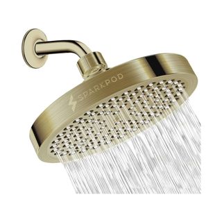 Brass shower head