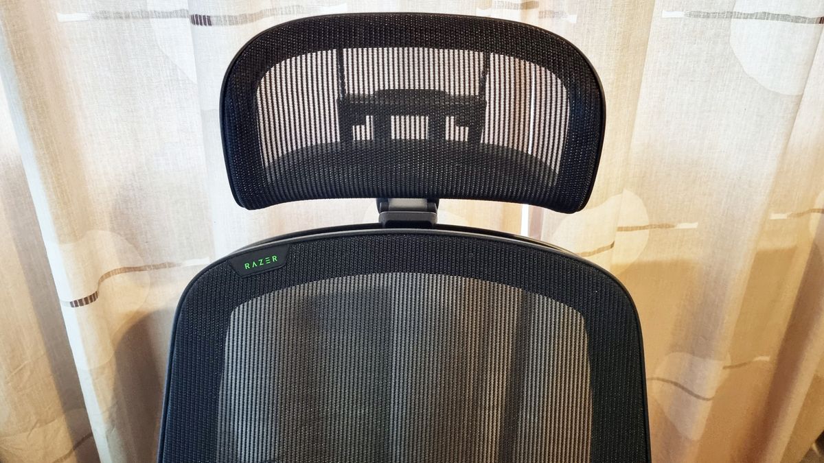 Razer Fujin Pro