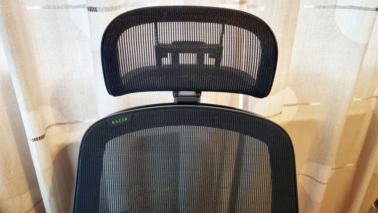 Razer Fujin Pro