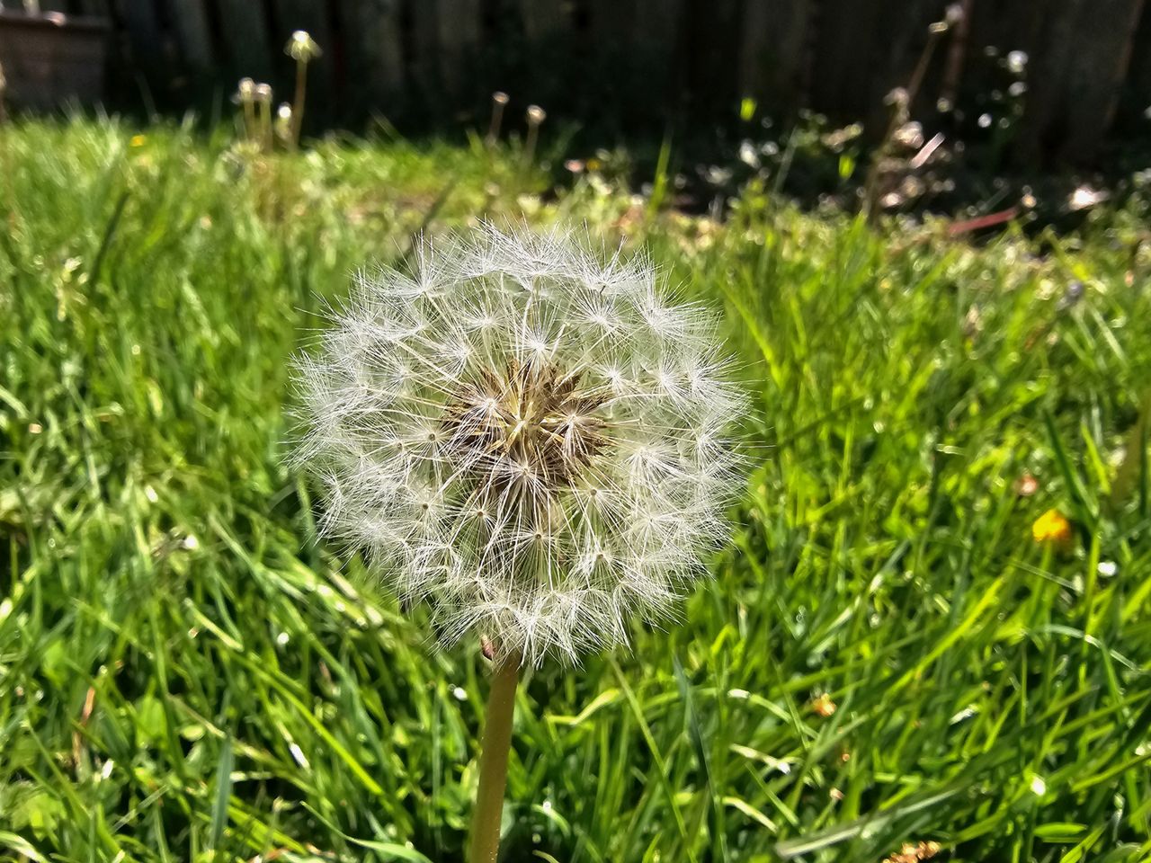 Galaxy S24 Ultra vs. Galaxy S23 Ultra