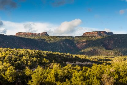 Bears Ears National Monument.