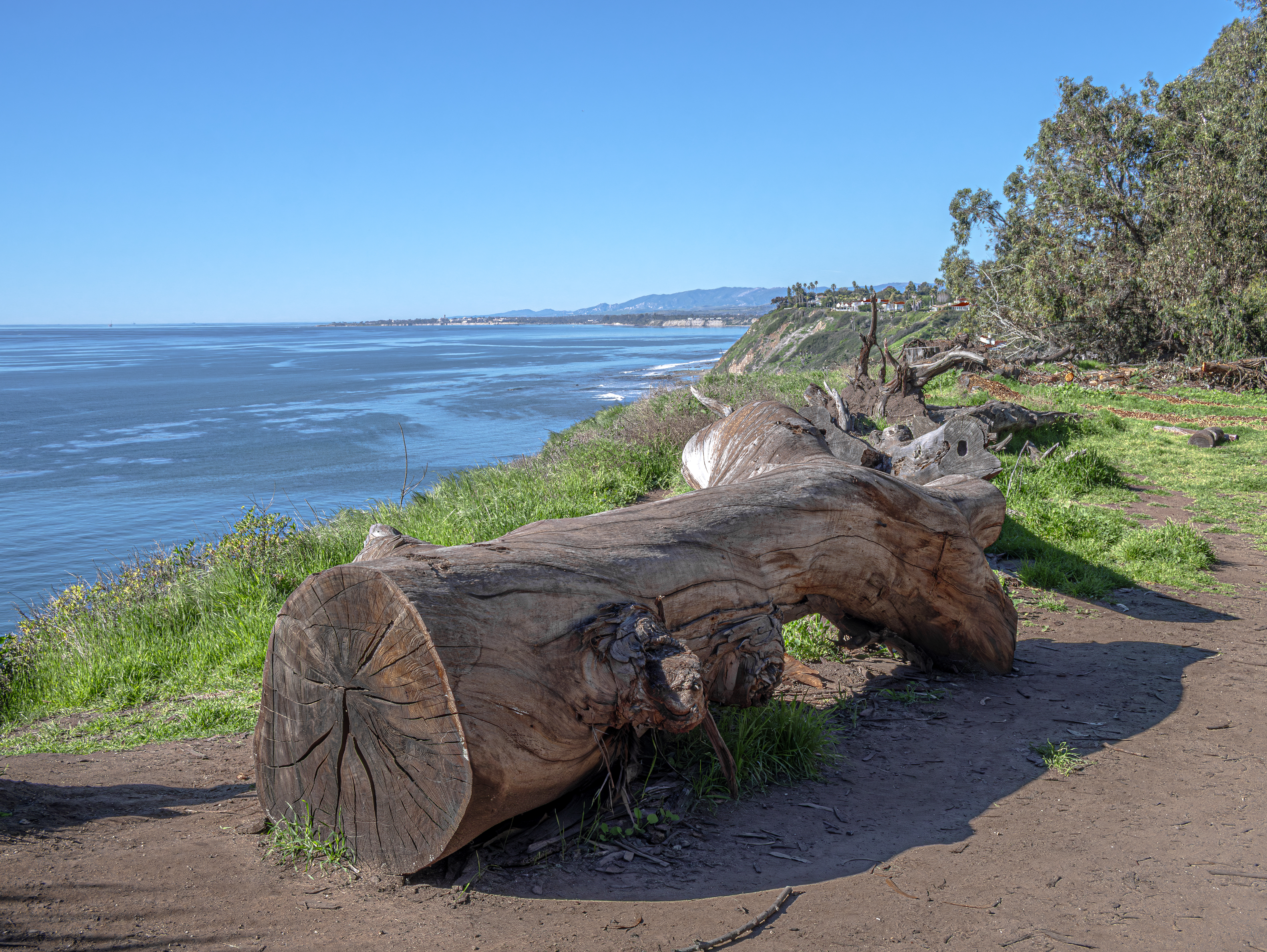 GuruShots - Nature March 2026