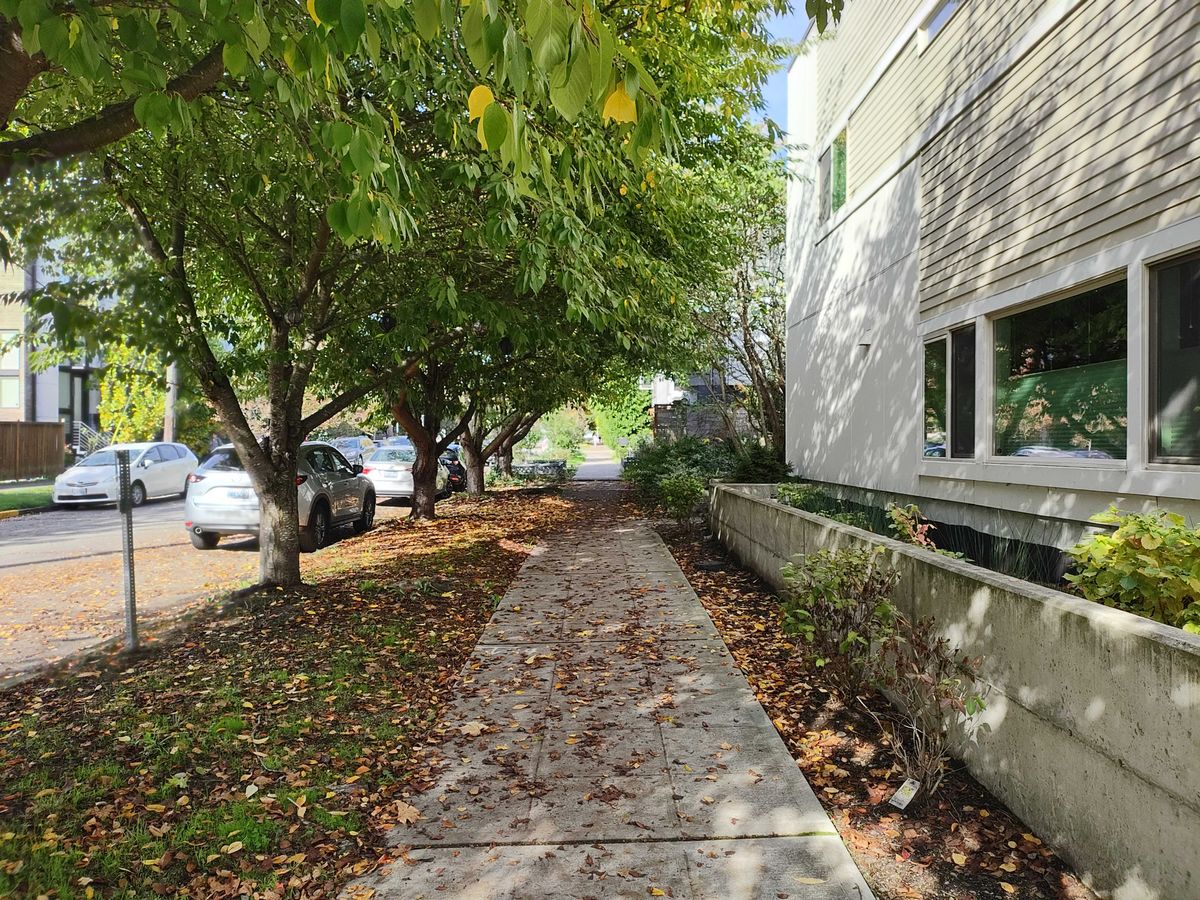 A sidewalk
