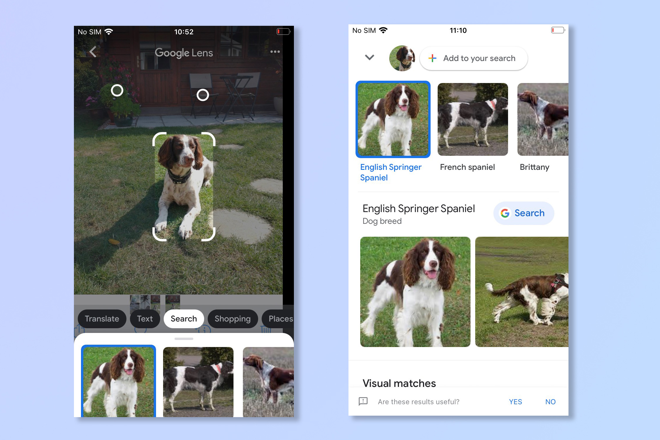 Четвертый шаг к использованию Google Lens на iPad и iPhone