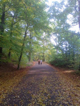 Pedestrians share the path with cyclists