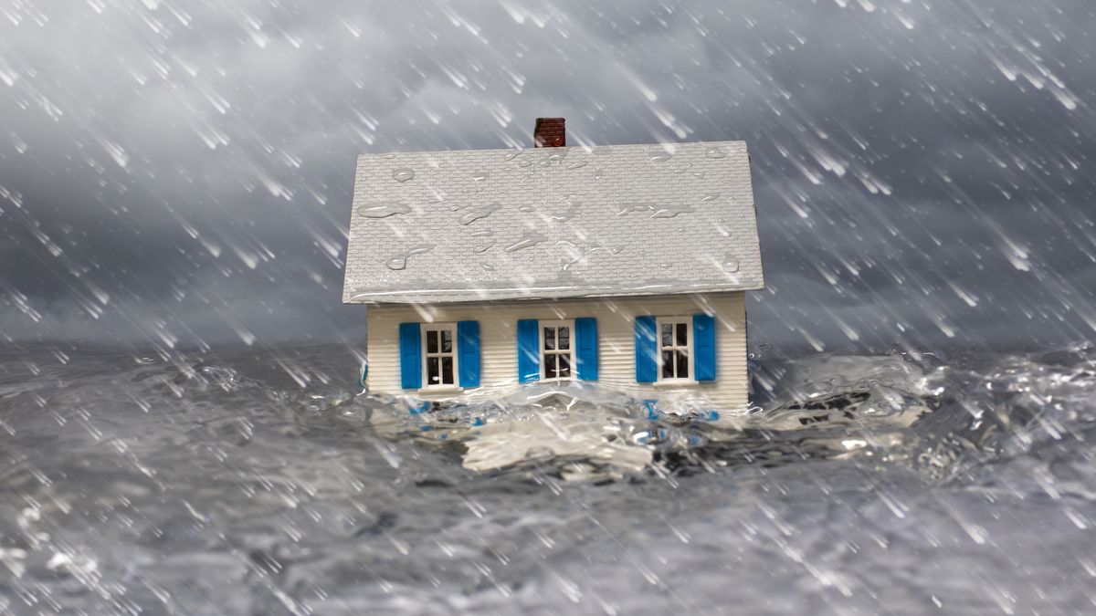 After the Disaster: An Expert's Guide to Deciding Whether to Rebuild or Relocate