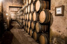 FRUlecia_cellar_Bobal.jpg