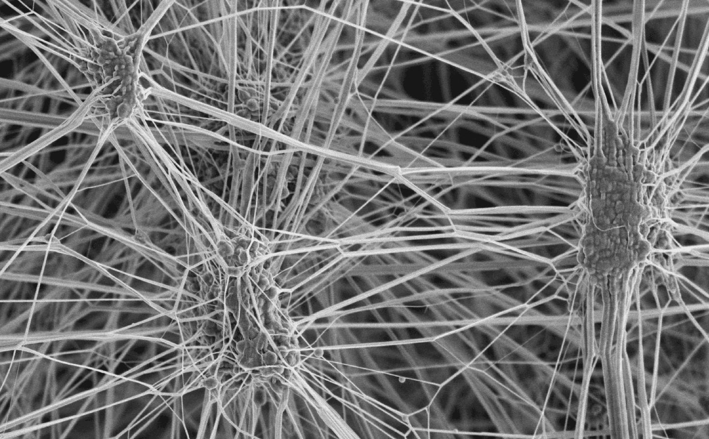 The future of waterproof clothing One year closer to the PFAS ban