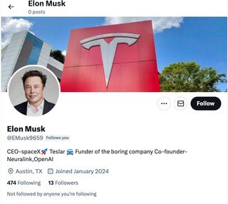 Fake Elon Musk account