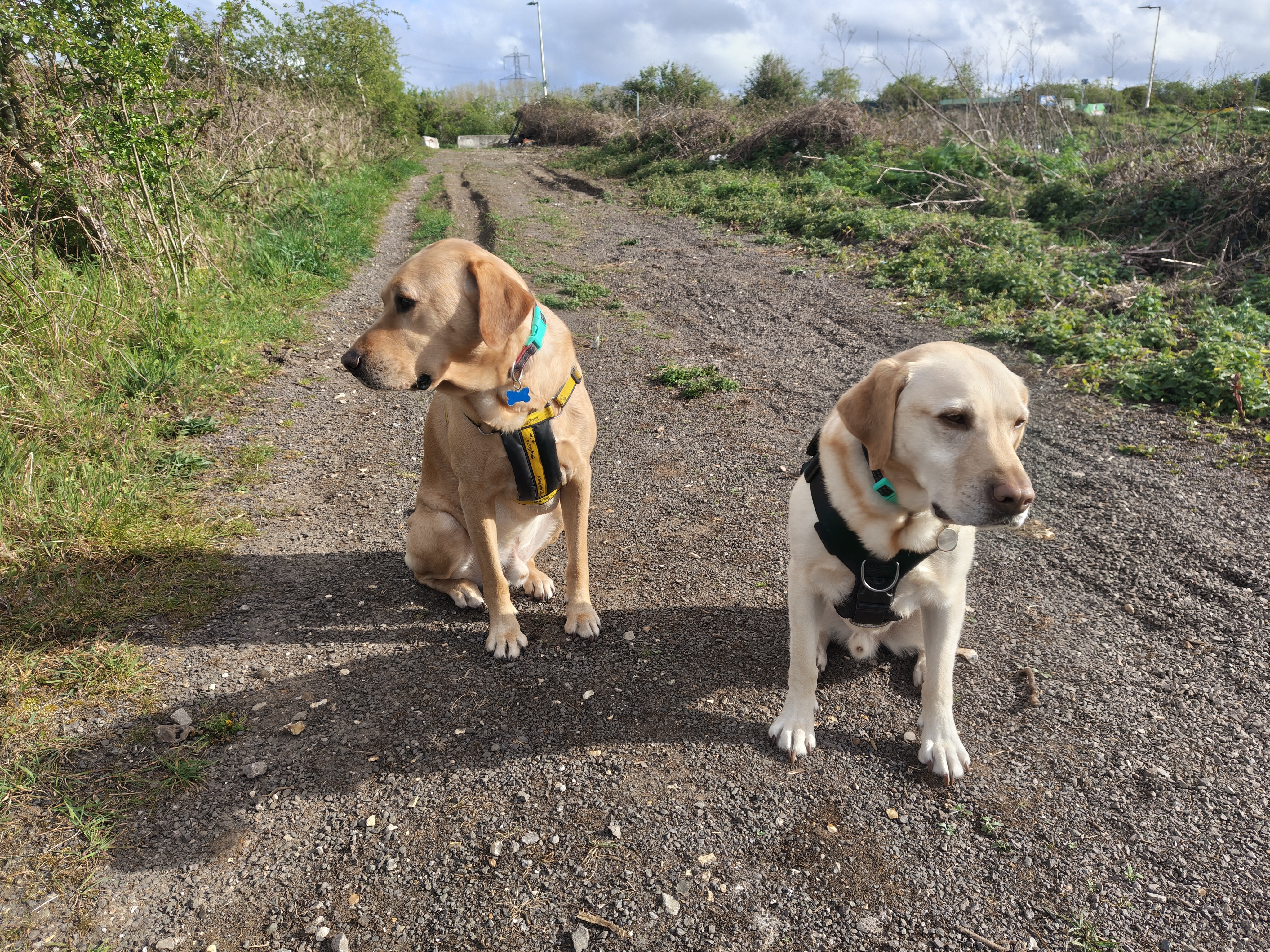 samsung galaxy a57 vs nothing phjone 4a pro