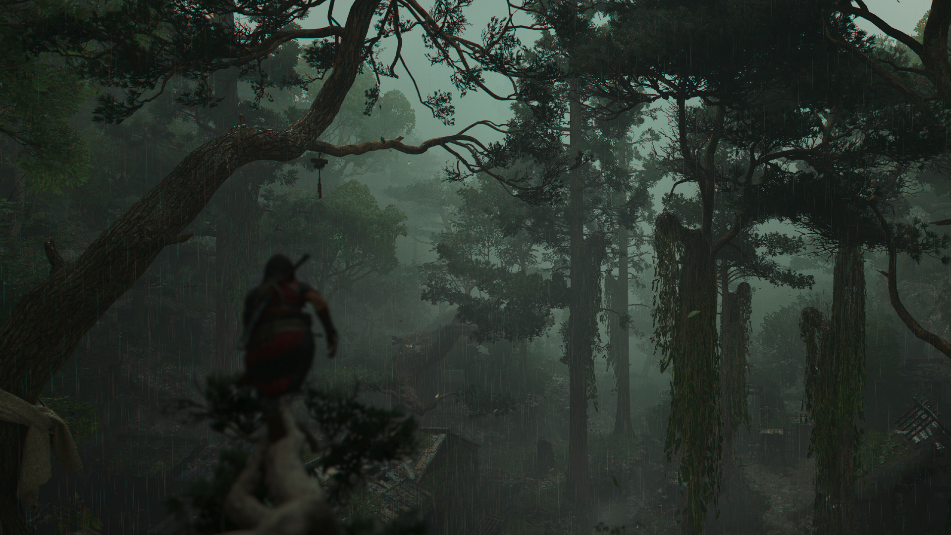 Assassin&#039;s Creed Shadows Claws of Awaji screenshot showing Naoe perched on a branch in a humid forest