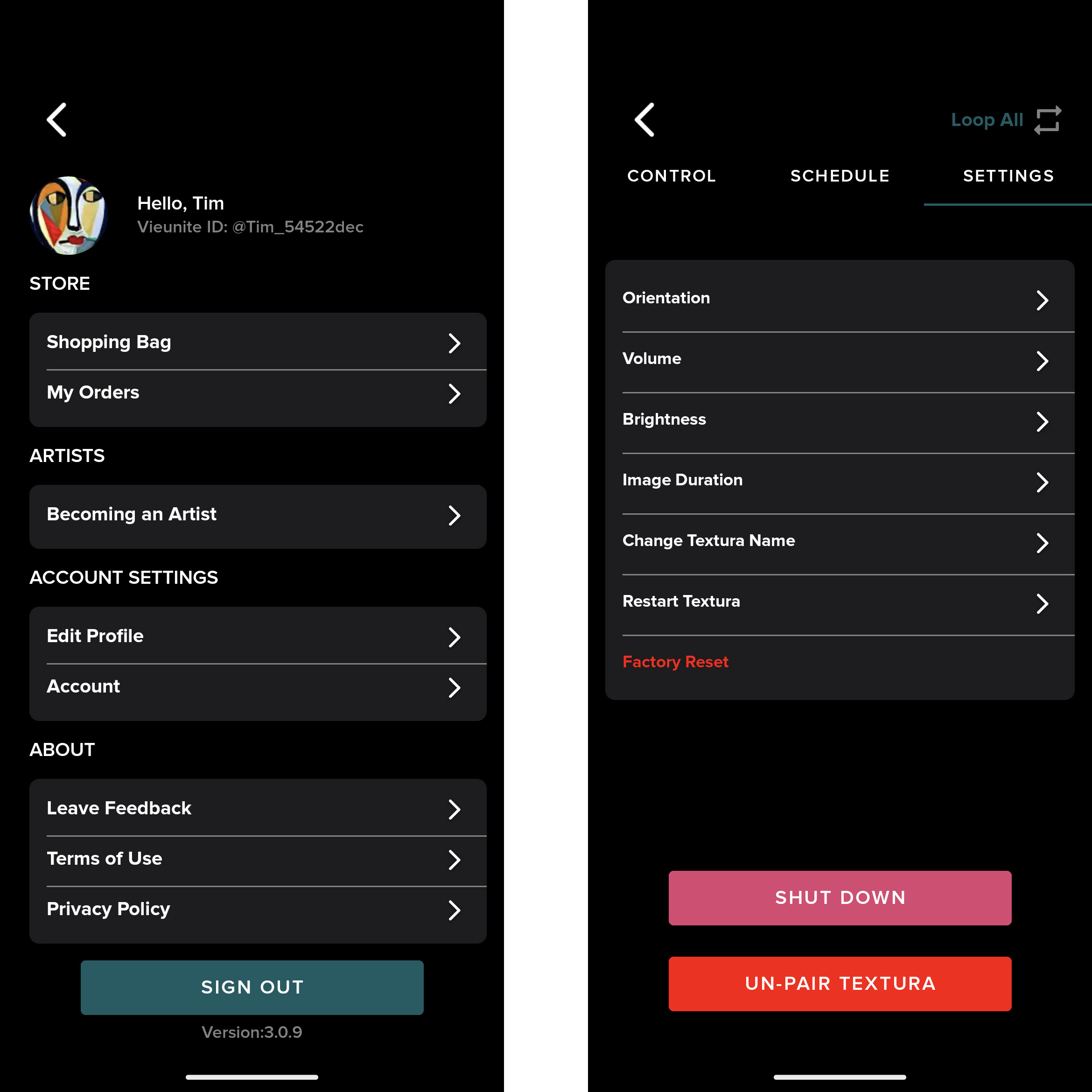 Vieunite app screenshot of user profile and frame settings