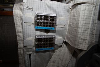 A sign reading "do not touch" labels this Matiss experiment on board the International Space Station. The experiment tests the antibacterial capabilities of hydrophobic (water-repelling) surfaces on the space station. With experiments like this, researchers can learn more about how microscopic organisms like bacteria live in space and how the crew can keep the station clean of illness-causing microorganisms.