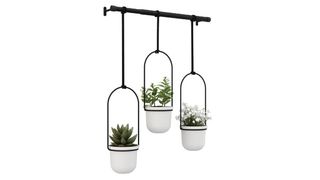 Umbra Triflora hanging planter