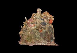 Archaeologists have found many helmets during the survey of the Rome-Carthage battle site. Here, a 3D model of one of of those helmets, created by William M. Murray.