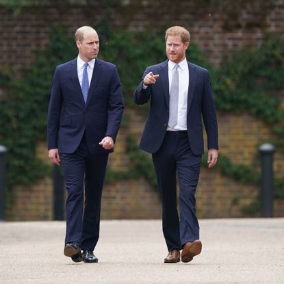 prince harry and prince william walking