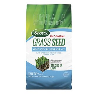 Scotts Turf Builder Grass Seed Kentucky Bluegrass Mix With Fertilizer and Soil Improver, Grows Dense, Green Turf, 5.6 Lbs.