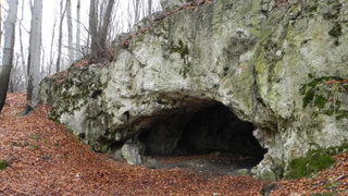 Entrance to a cave is dark and surrounded by limestone-looking rocks. A blanket of orange-red leaves carpets the foreground.