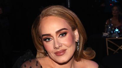 Adele debuts dramatic hair transformation at Vegas concert with slick middle part and voluminous crown