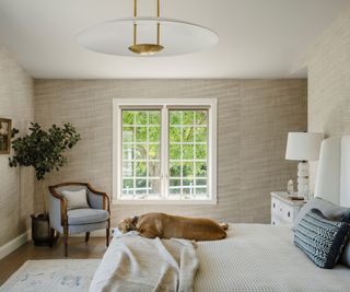 bedroom with textured wallpaper and dog on bed