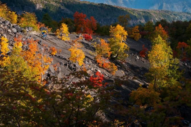 The fall colours in Chile were amazing!