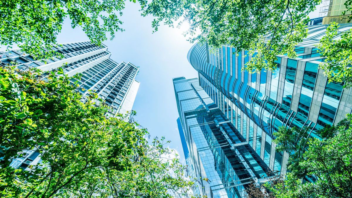 A photo from the ground looking up at skyscrapers, with green trees partially obscuring the view