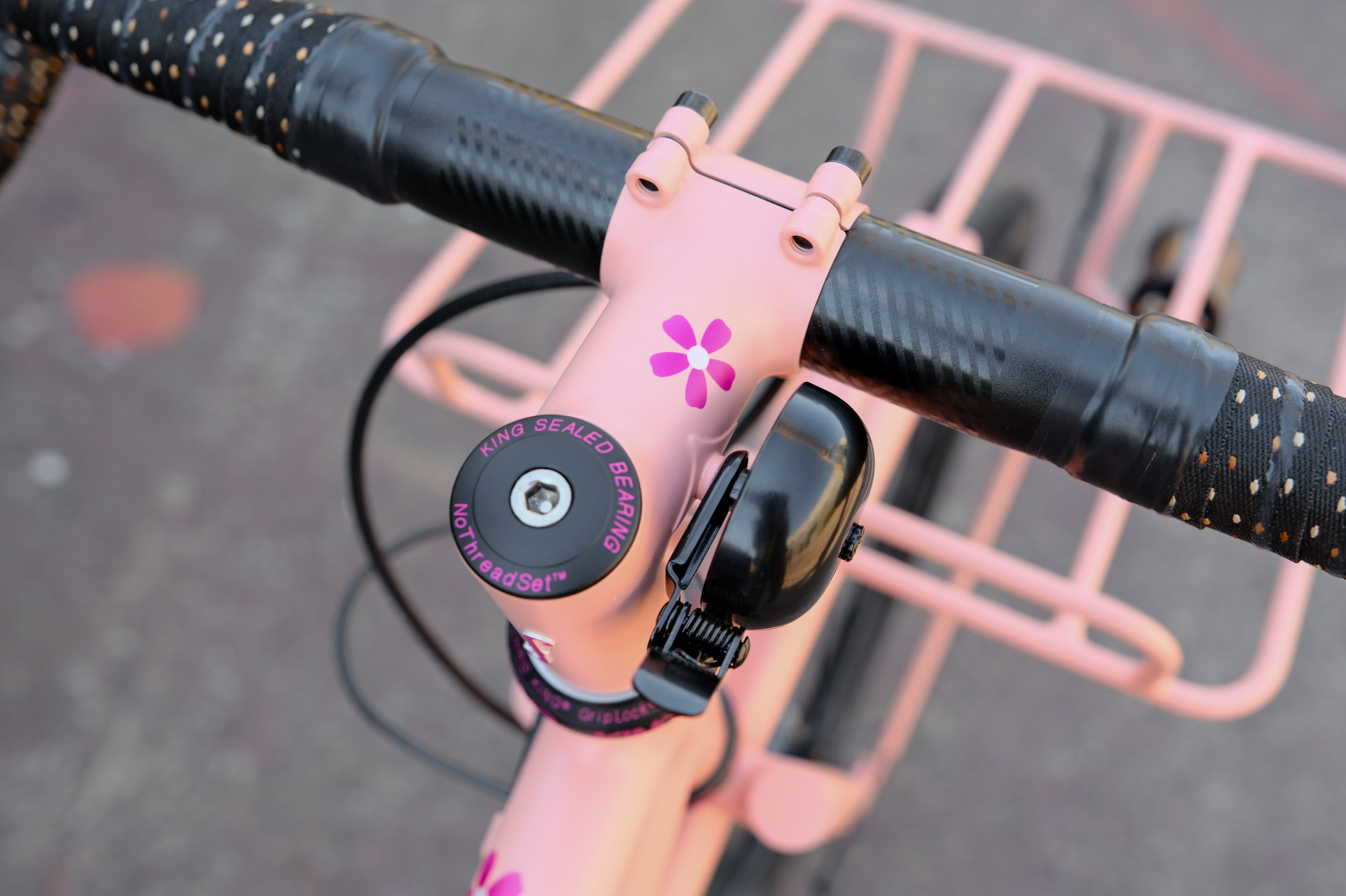 Fiddlehead commuter