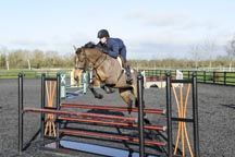 FletcherT_YoungHorse13pn_676.jpg