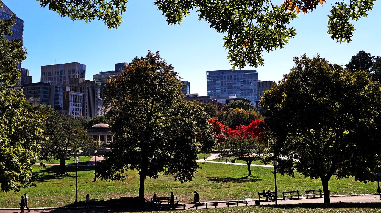 Boston Common TGL