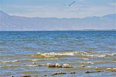 salton-sea-1-110908-02