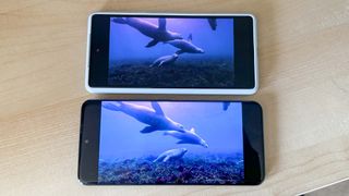 Honor 90 side-by-side with Pixel 7a, showing difference in screen brightness at 50%