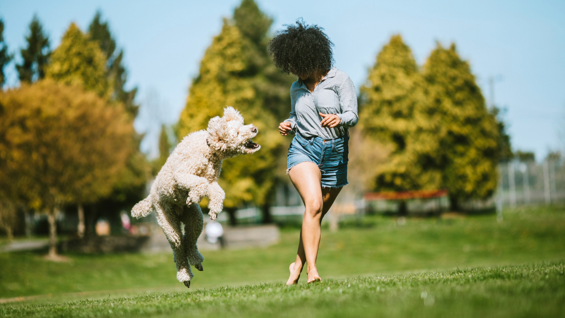 a woman and dog play in a park together