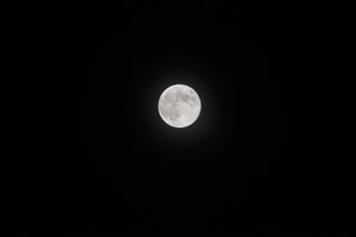 Full Moon From Florida