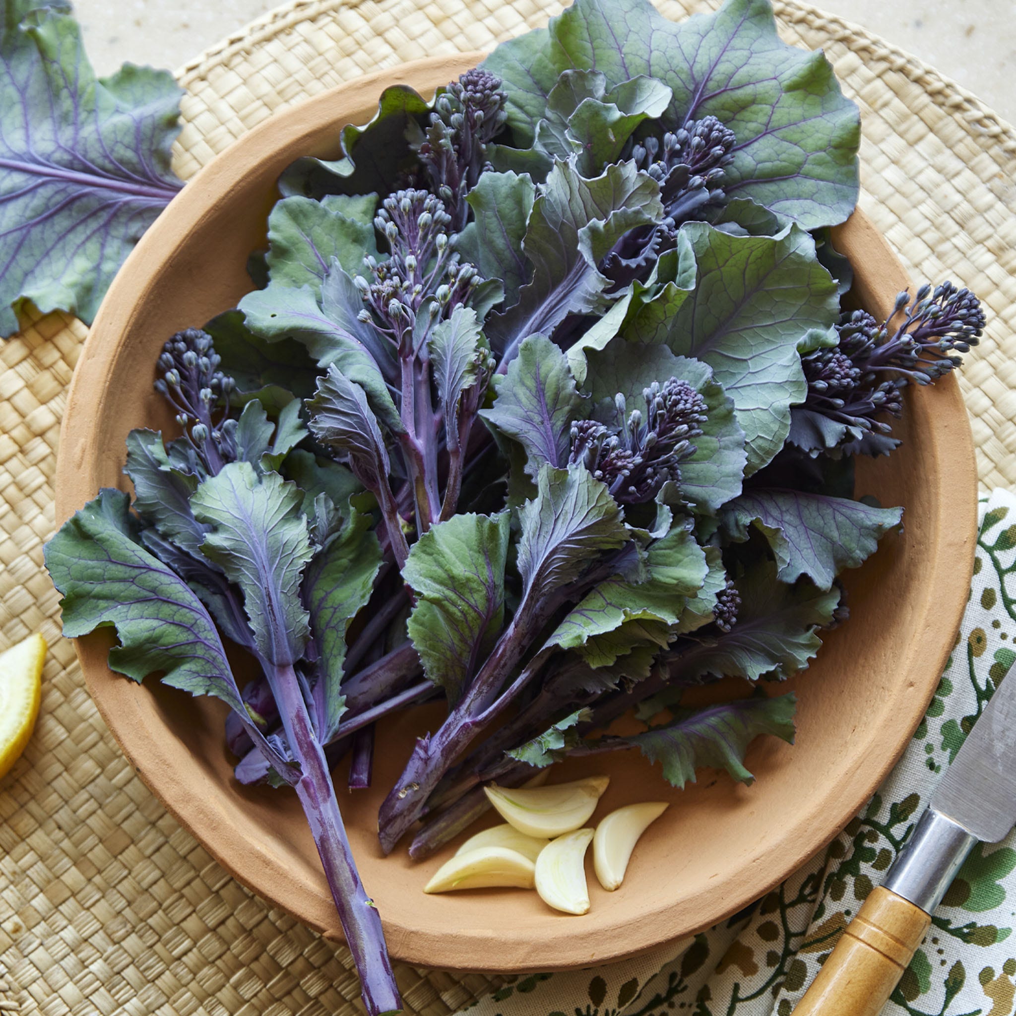Purplelicious Sprouting Broccoli Plants