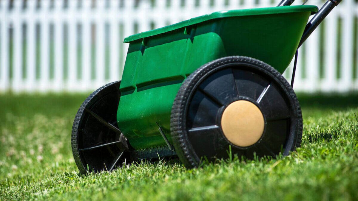 How to overseed a lawn Top Ten Reviews