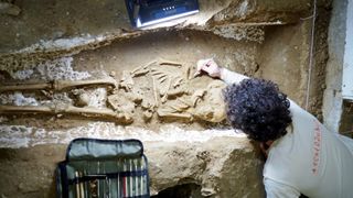 An archaeologist uses a small tool to excavate the dirt around a skeleton