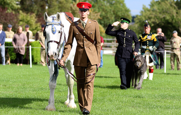 Regimental Mascot Training Camp.