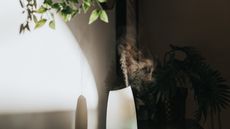 A white Oil Diffuser / Humidifier in a Domestic Setting - stock photo