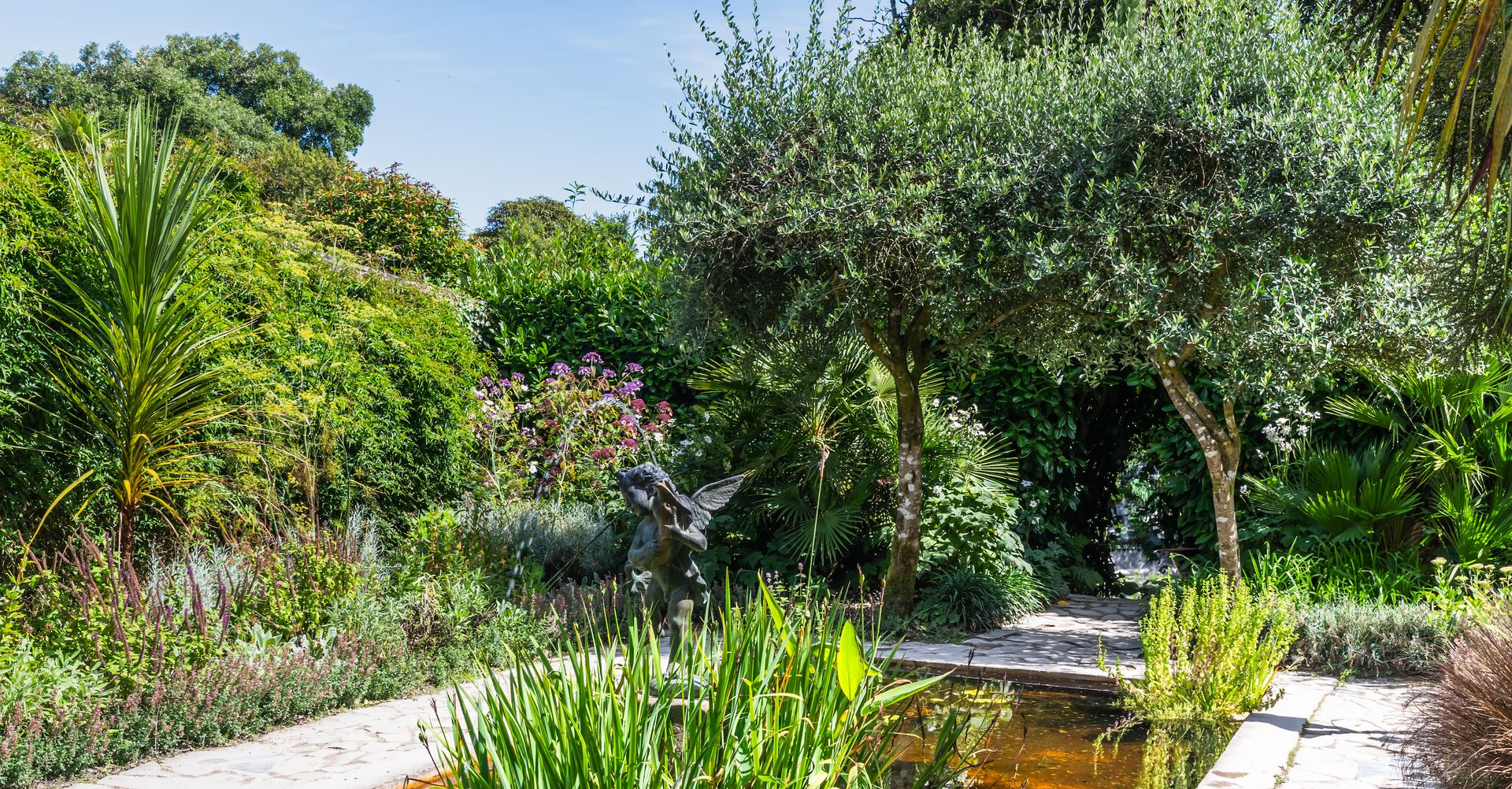 What Are Hardiness Zones? A Beginner Gardener's Guide to Knowing