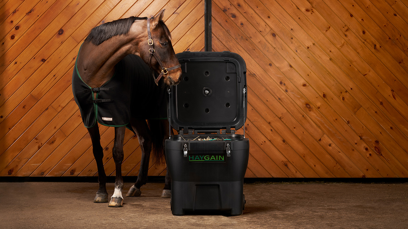 A horse with a Haygain steamer