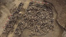 an aerial view of a mass grave with many bones