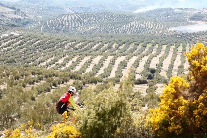 Scenery during stage 4 at the Andaluca Bike Race.